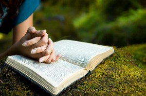 Young woman reading bible by stream in summer