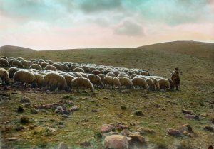 psalm-233b-he-leadeth-me-mat14880