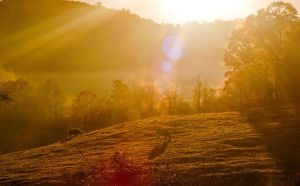 7ee8d0b0c2456e4a51431fd59d909593