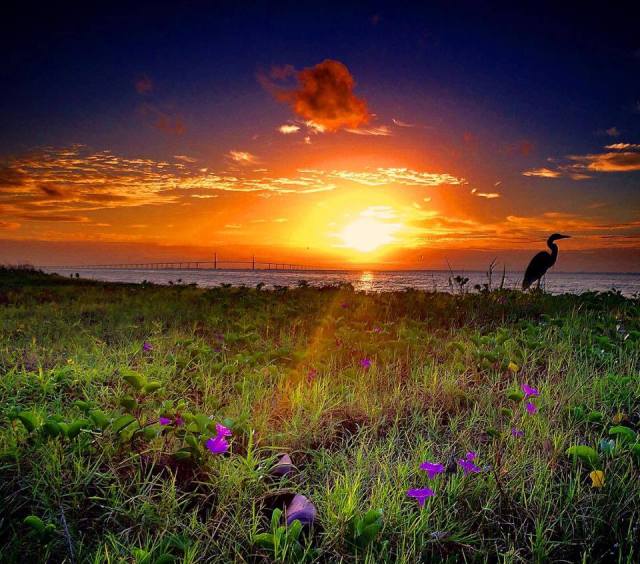 14495457_10154056066883525_5086144359139091796_n