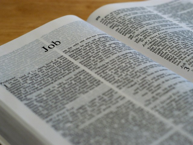 bible-job