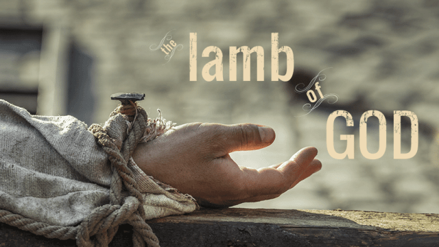 lamb of God