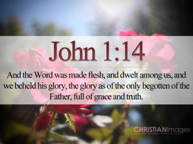 john 114