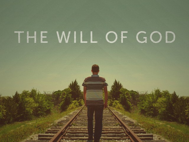 WILL OF GOD_std_t
