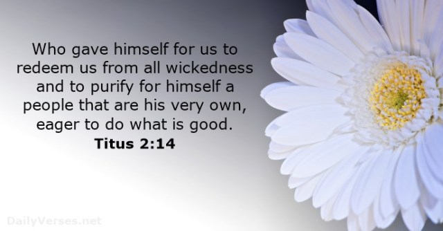 titus-2-14