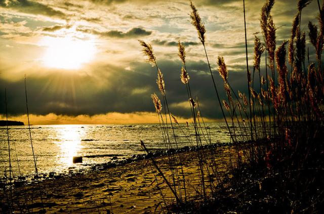 1-new-beginnings-jason-naudi-photography