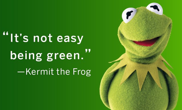 kermitthefrog2