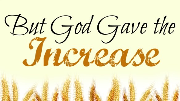 God Gives The Increase | The Heaton File