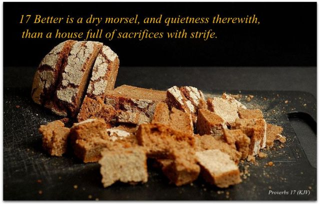 Proverbs 17 (KJV) 17