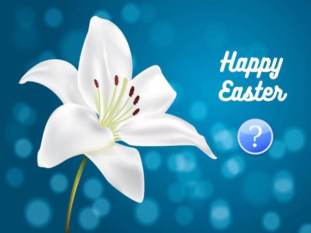 easter-lilly-vector question