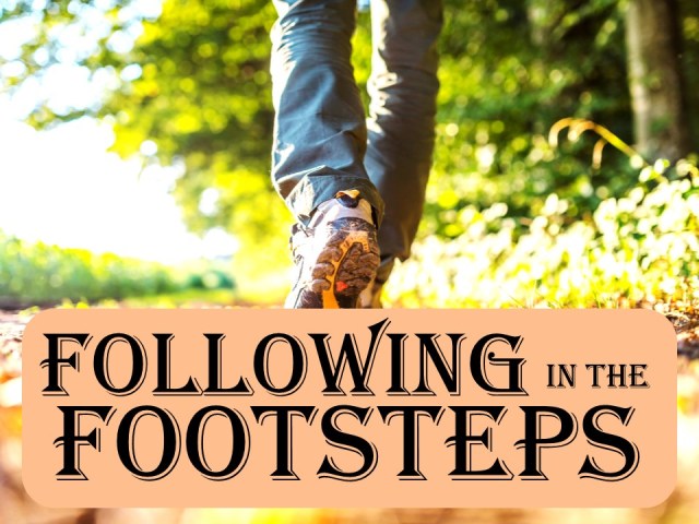 follow in footsteps