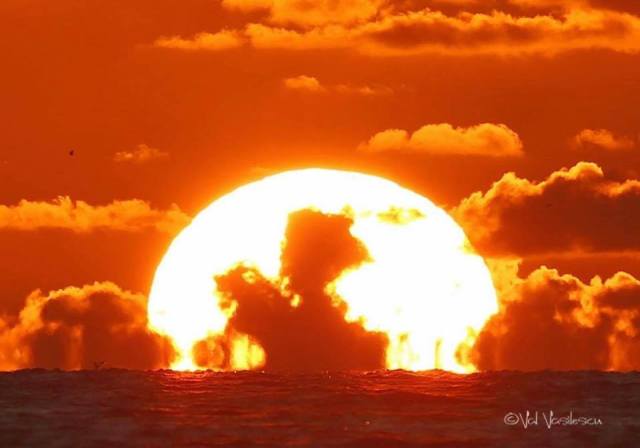 14469546_10154026100408525_6297159592159851838_n