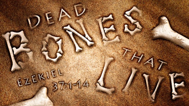 dead_bones_that_live-title-1-still-16x9