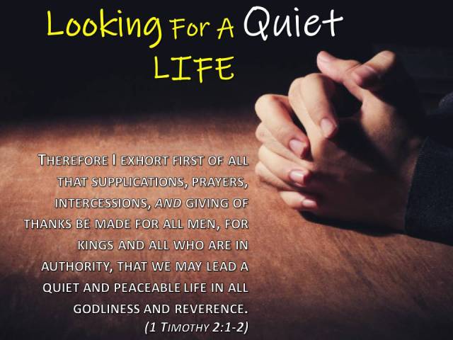 Looking For A Quiet LIFE
